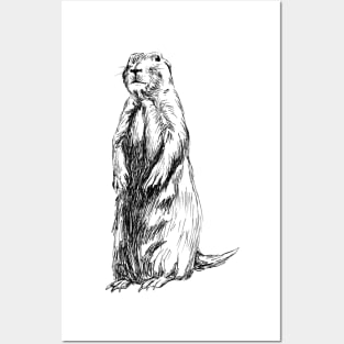 Groundhog Print Posters and Art